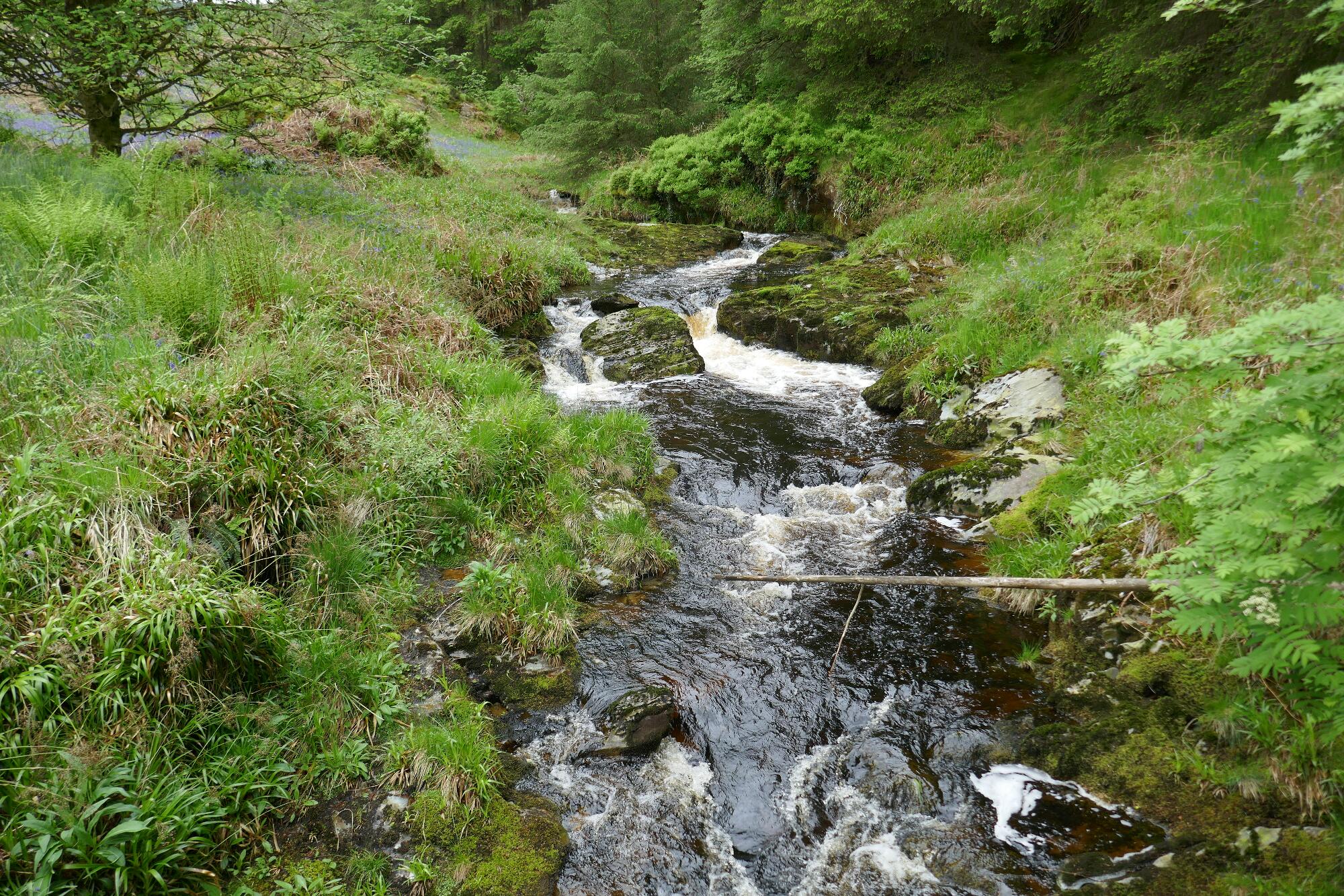 RachelSeabrook.net | Wild Walking | Devils-Bridge; pic45